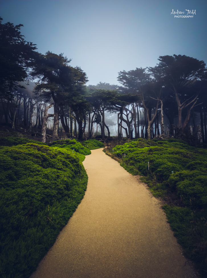 Sutro lands end trail san francisco california