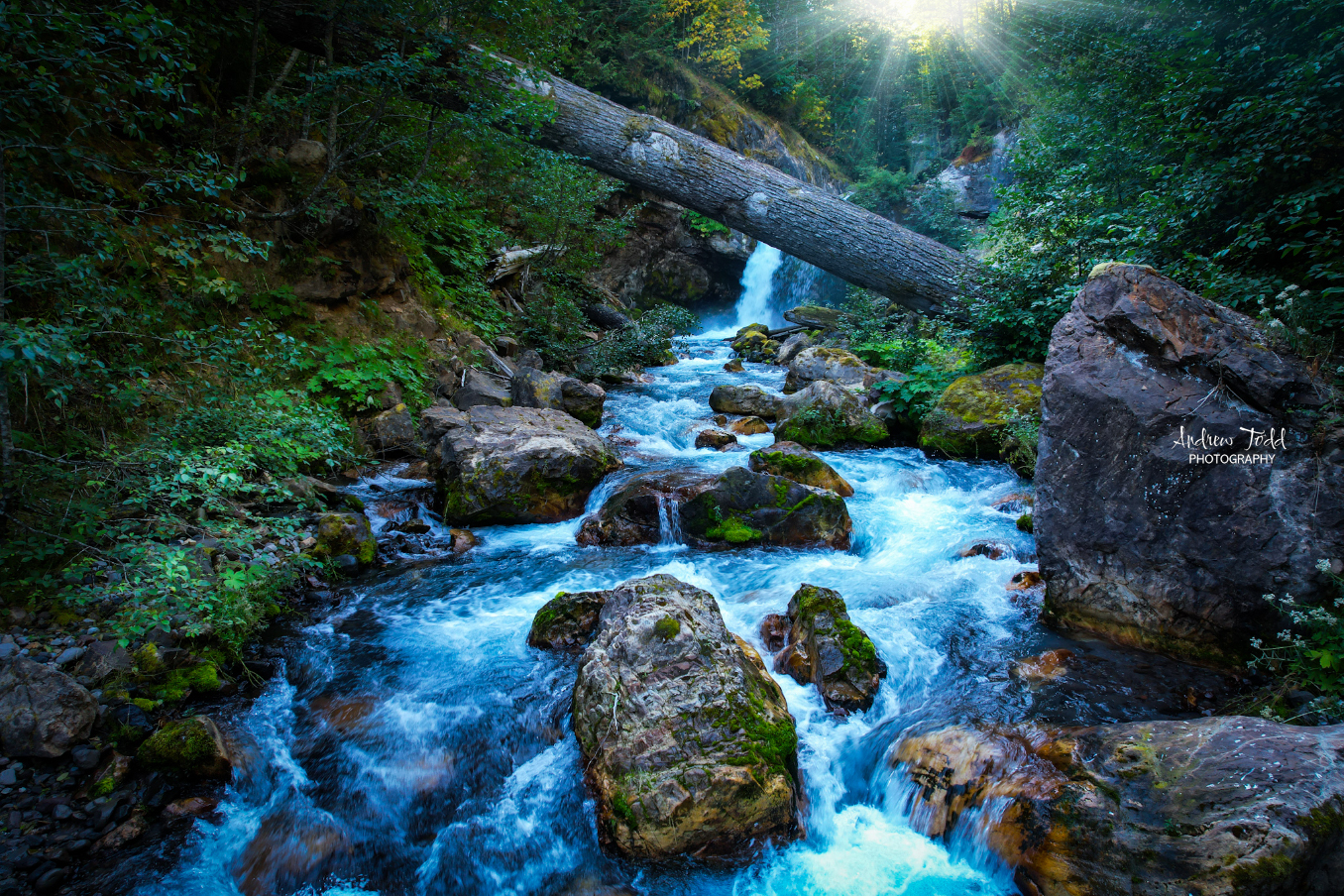 Muddy river lava canyon gifford pinchot washington
